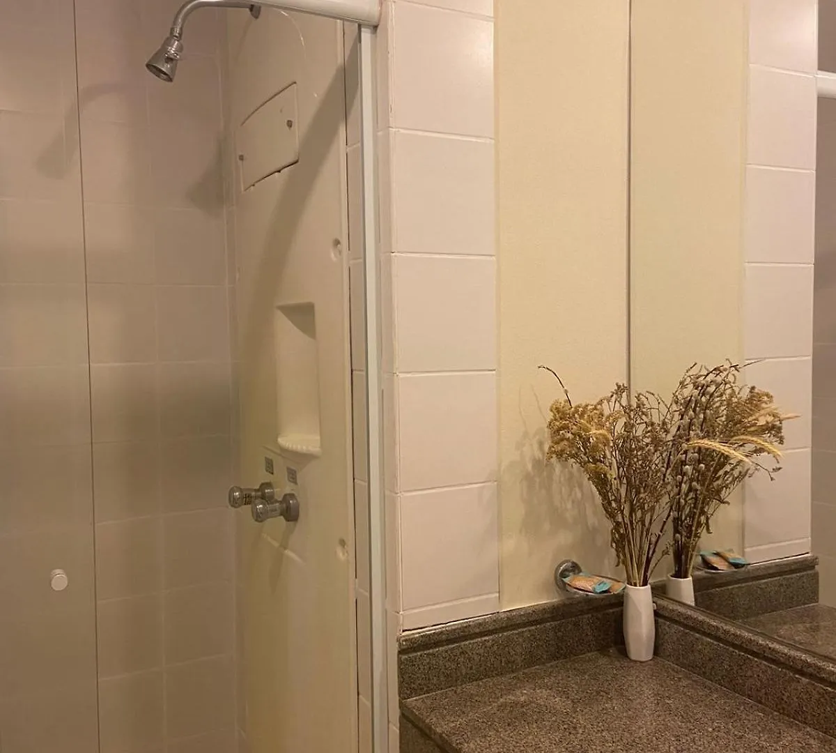 Quarto Em Hotel Pertinho Do Aeroporto De Congonhas - H2208 Sao Paulo